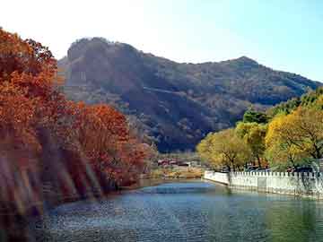 管家婆免费正版资起大全，都市校园